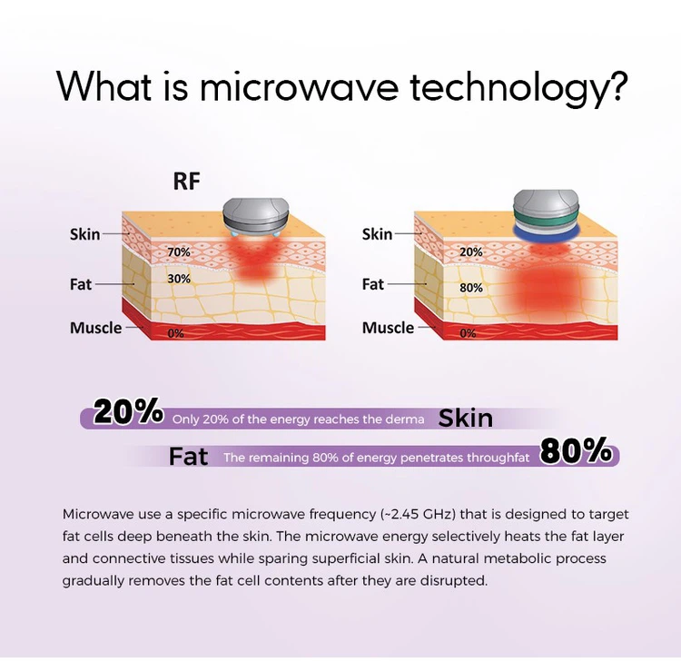 2.45GHz Microwave Body Shaping Machine for Salon Clinic 2.45GHz Microwave Body Shaping Machine for Salon Clinic